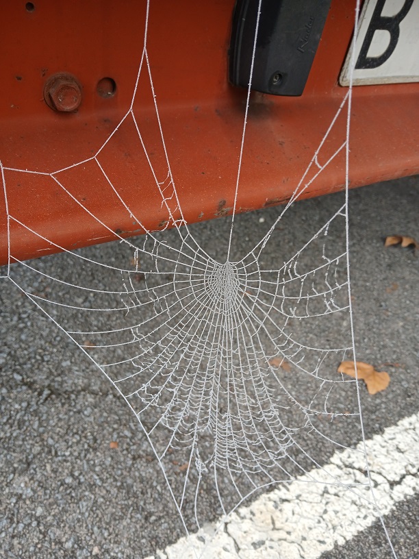 No s'ha trobat l'arxiu